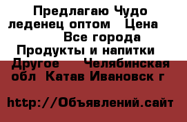 Предлагаю Чудо леденец оптом › Цена ­ 200 - Все города Продукты и напитки » Другое   . Челябинская обл.,Катав-Ивановск г.